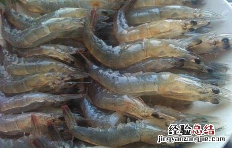 虾米不能和什么一起吃 虾不能和什么一起吃