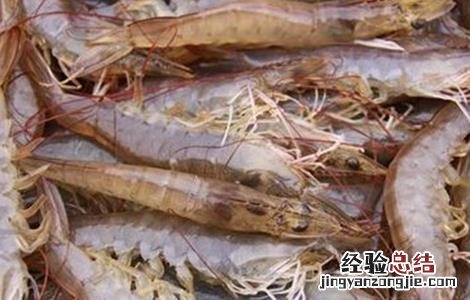 虾米不能和什么一起吃 虾不能和什么一起吃