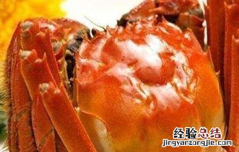 螃蟹和什么不能一起吃 禁忌 螃蟹和什么不能一起吃
