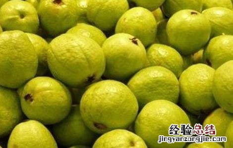 番石榴不能和什么同食