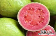 番石榴不能和什么同食