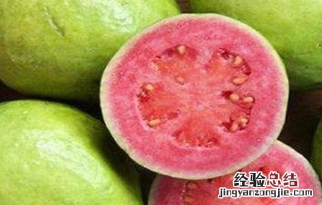 番石榴不能和什么同食