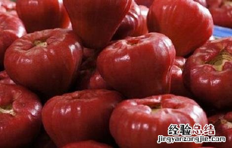 食用莲雾的禁忌 莲雾吃法和禁忌