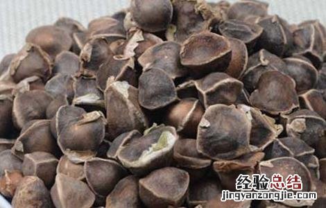 辣木籽怎么吃是正确的 辣木籽怎么吃是正确的用量