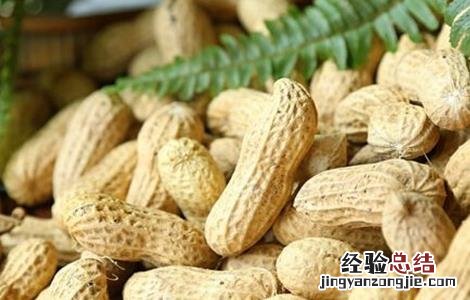 花生和什么不能一起吃呢女生 花生和什么不能一起吃呢