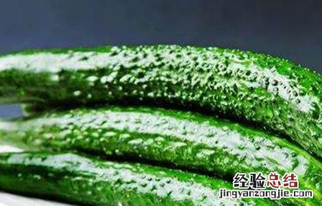 黄瓜不能和什么一起吃 黄瓜不能和什么一起吃香哈