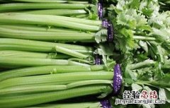 黄瓜不能和什么一起吃 黄瓜不能和什么一起吃香哈