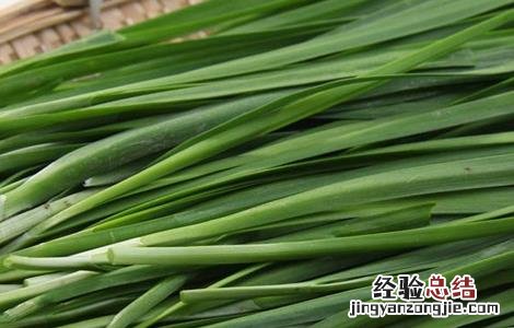 韭菜和什么不能一起吃 韭菜和什么不能一起吃中毒