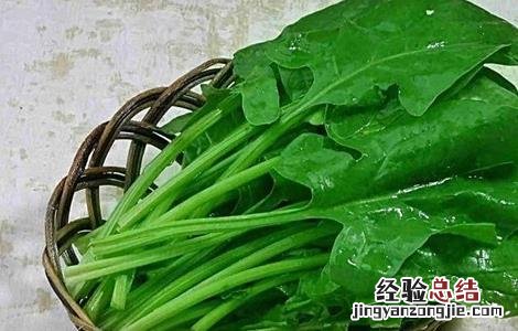 韭菜和什么不能一起吃 韭菜和什么不能一起吃中毒