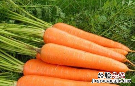 柠檬不能和什么一起吃虾 柠檬不能和什么一起吃