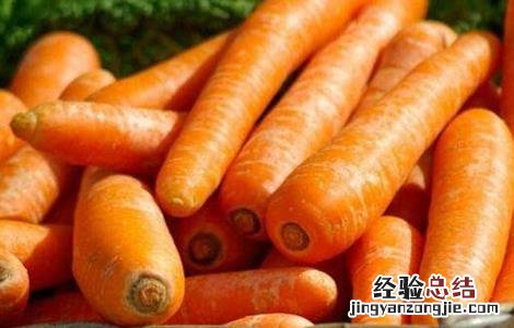白萝卜不能和什么一起吃了 白萝卜不能和什么一起吃