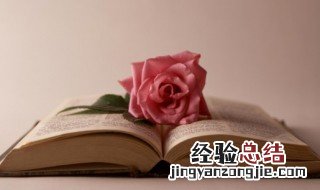 但可以组什么词 但可以组什么词语