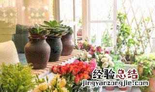 父亲节送什么花 父亲节送什么花最佳