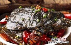 皮蛋不能和什么一起吃会中毒 皮蛋不能和什么一起吃