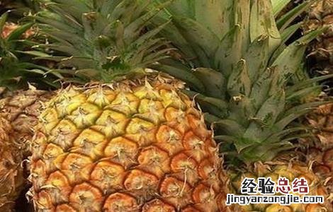 芒果不能和什么一起吃呢 芒果不能和什么一起吃呢英语