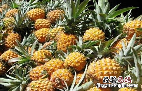 芒果不能和什么一起吃呢 芒果不能和什么一起吃呢英语