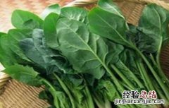 菠菜不可以和什么一起吃吗? 菠菜不能和什么一起吃呢
