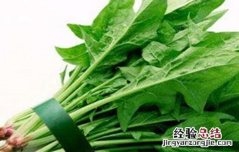 菠菜不可以和什么一起吃吗? 菠菜不能和什么一起吃呢