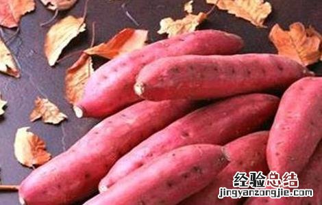 红薯不能和鸡蛋一起吃是真的吗 红薯不能和什么一起吃
