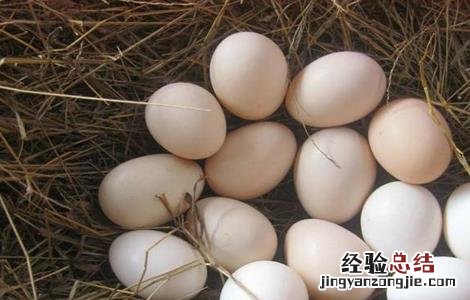 鸡蛋不能和什么一起吃吗 鸡蛋不能和什么一起吃