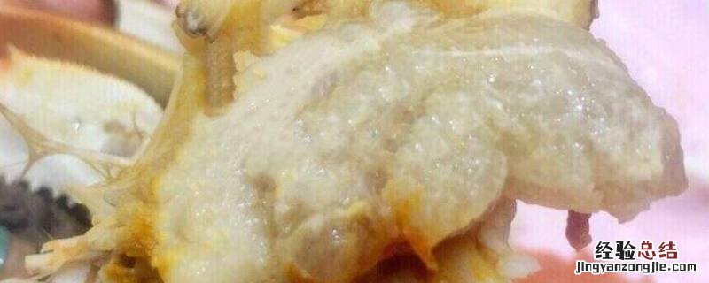 公螃蟹里面的白色的膏是什么样子 公螃蟹里面的白色的膏是什么