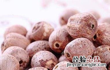 红莲子什么功效与作用 中药红莲子的功效与作用
