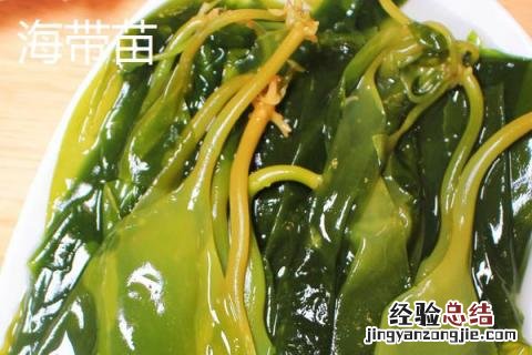 海带苗和裙带菜有区别吗 海带苗和裙带菜一样吗