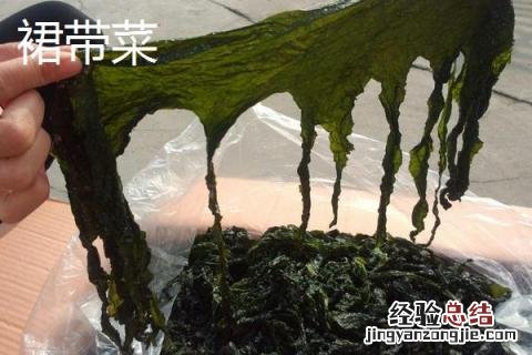 海带苗和裙带菜有区别吗 海带苗和裙带菜一样吗