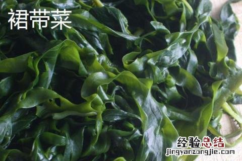 海带苗和裙带菜有区别吗 海带苗和裙带菜一样吗