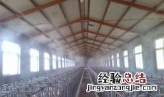 养殖场环境空间消毒用什么消毒剂 养殖场常用的消毒剂一览