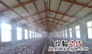 养殖场环境空间消毒用什么消毒剂 养殖场常用的消毒剂一览