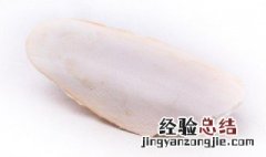 乌贼骨的功效与作用 瓦楞子的功效与作用