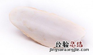 乌贼骨的功效与作用 瓦楞子的功效与作用