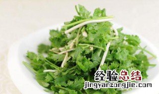 十香菜的禁忌是什么 十香菜的禁忌
