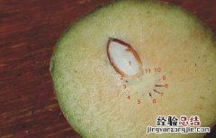 人心果的食用方法以及注意事项禁忌 人心果的食用方法以及注意事项