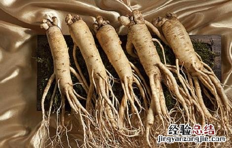 人参的食用禁忌 人参食用禁忌人群