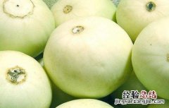 香瓜食用的注意事项及食用禁忌 香瓜食用的注意事项及食用禁忌