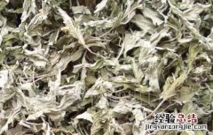 艾叶的食用禁忌有哪些 艾叶的食用禁忌