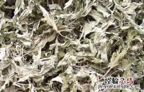 艾叶的食用禁忌有哪些 艾叶的食用禁忌