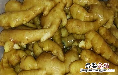 生姜泡水喝的禁忌 黄芪生姜泡水喝的禁忌