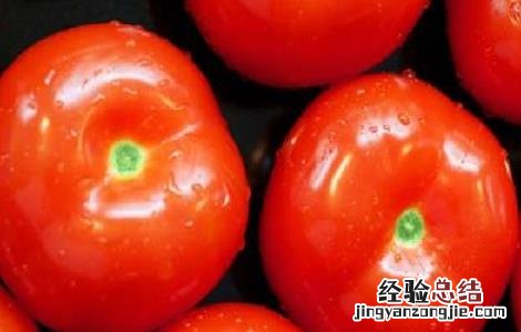 西红柿不能和什么一起吃香哈网手机版 西红柿不能和什么一起吃