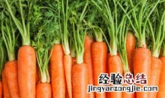 胡萝卜怎么读英语