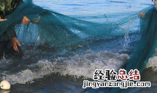 黄尾怎么烧才好吃 黄尾如何烧才好吃