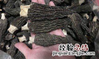 羊肚菌的功效与吃法 羊肚菌的功效与作用及食用方法