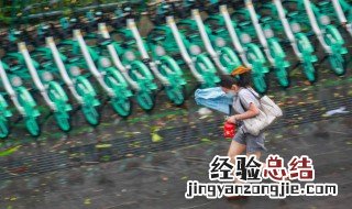 雨季八防内容 雨季八防的内容是什么