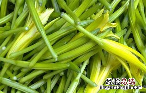 黄花菜不能和什么一起吃/同吃 黄花菜不能和什么一起吃