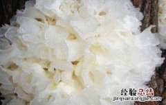 银耳不能和什么一起吃 冰糖银耳不能和什么一起吃