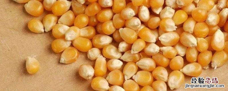 玉米包衣种子怎么浸种 玉米种子包衣用什么药