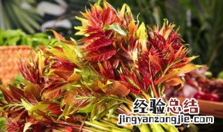 香椿没焯水吃了会中毒吗 香椿焯水后还有毒吗