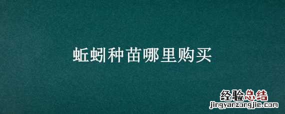 蚯蚓种苗哪里购买 蚯蚓种苗哪里有